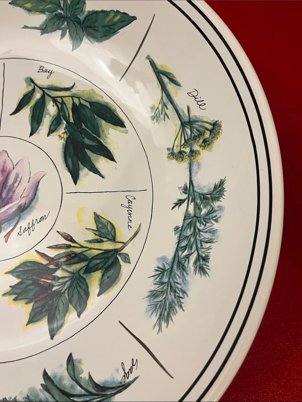 WILLIAMS-SONOMA Portugal,12”3/4 D 2”3/4 H Design Ceramic PASTA SERVING BOW